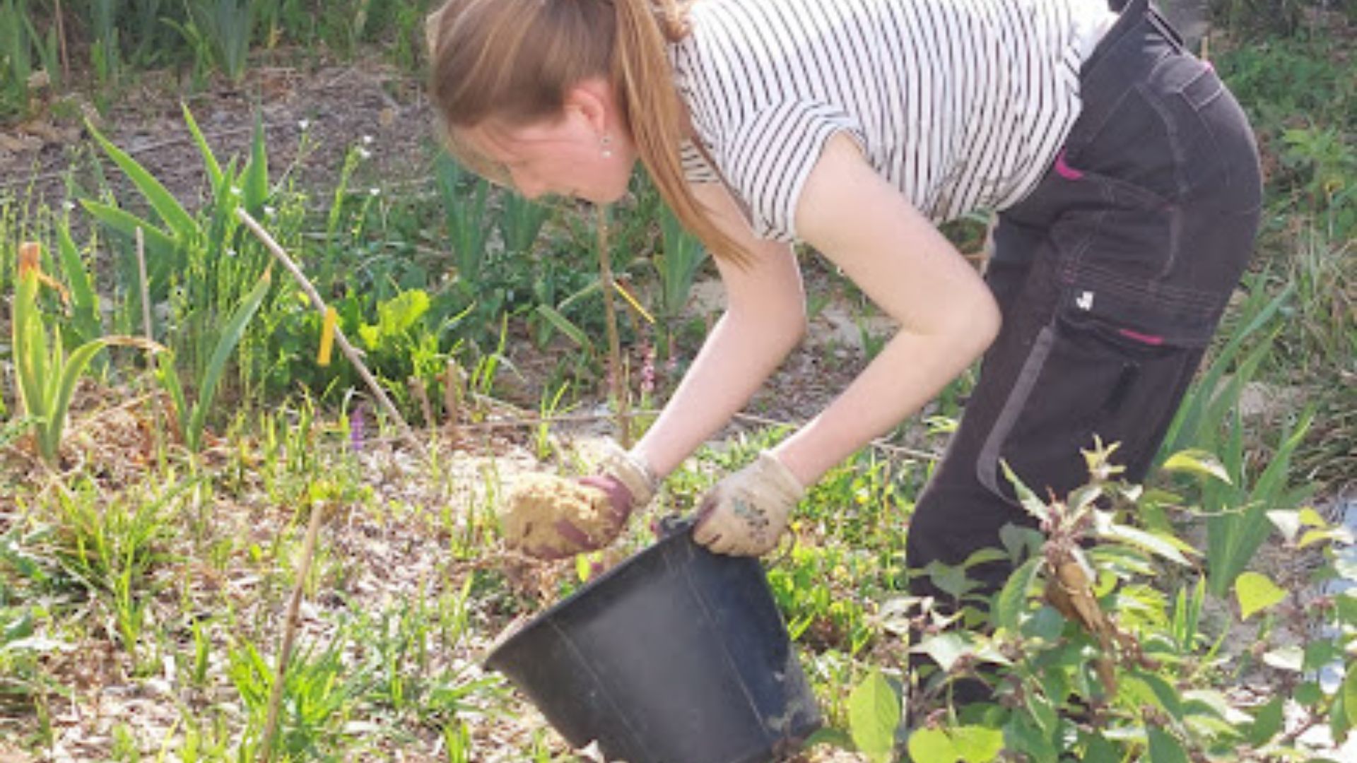 Ouvrière paysagiste en train de travailler dans un jardin, portant des gants et manipulant des plantes