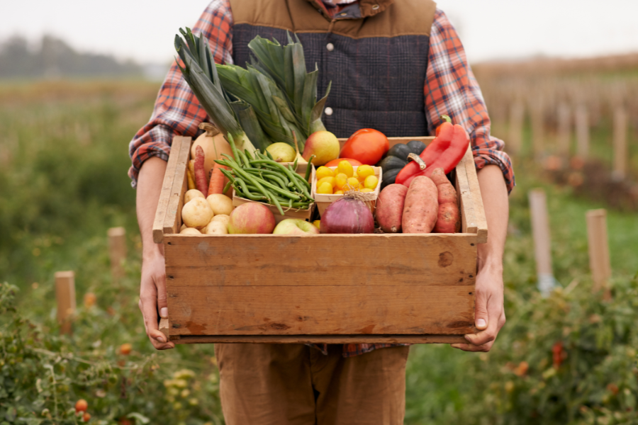 responsable d'exploitation agricole - en maraichage