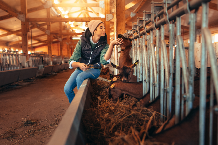 salariée agricole en élevage