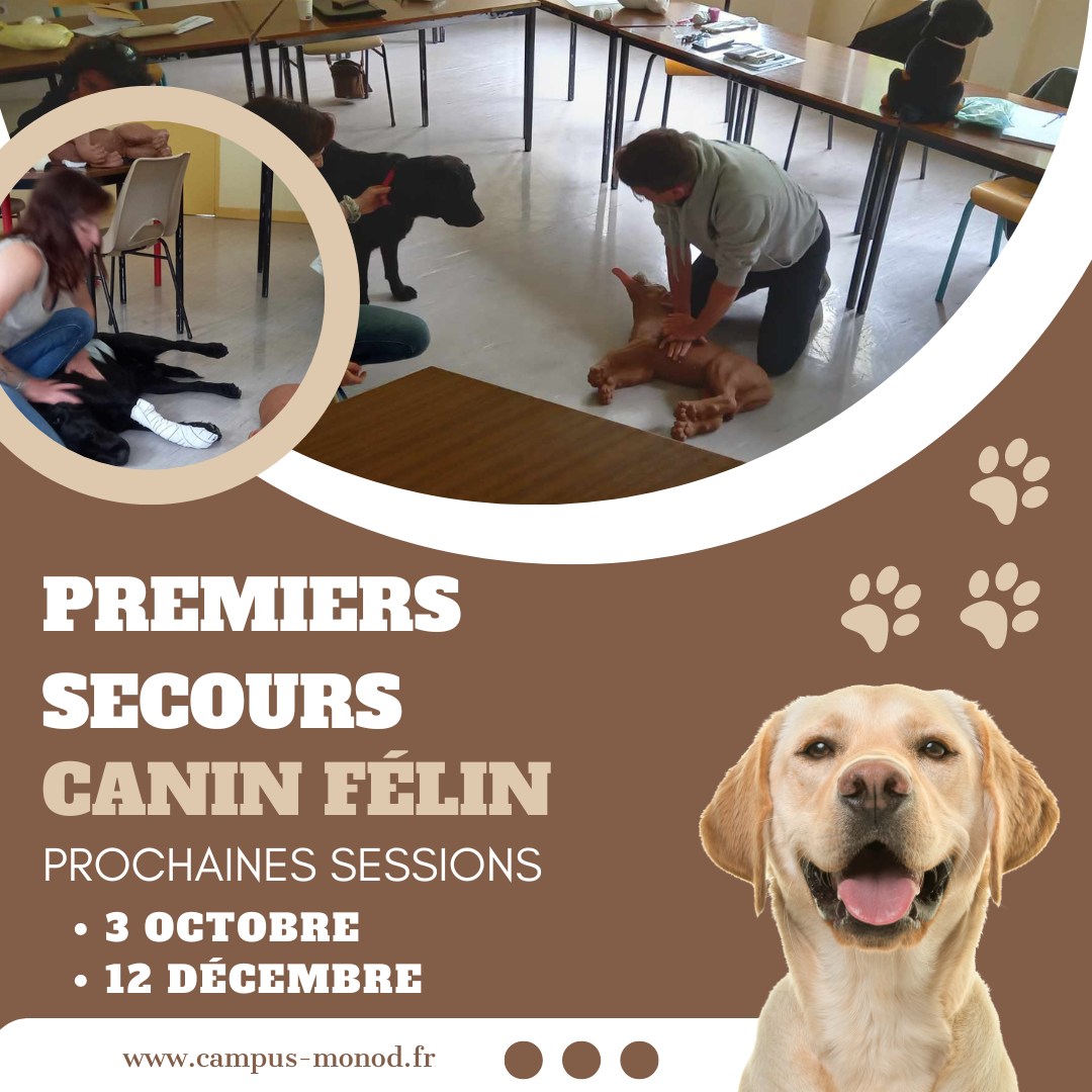 a première session de formation « Premiers Secours Canin et Félin » s’est déroulée au CFPPA Le Rheu !!!