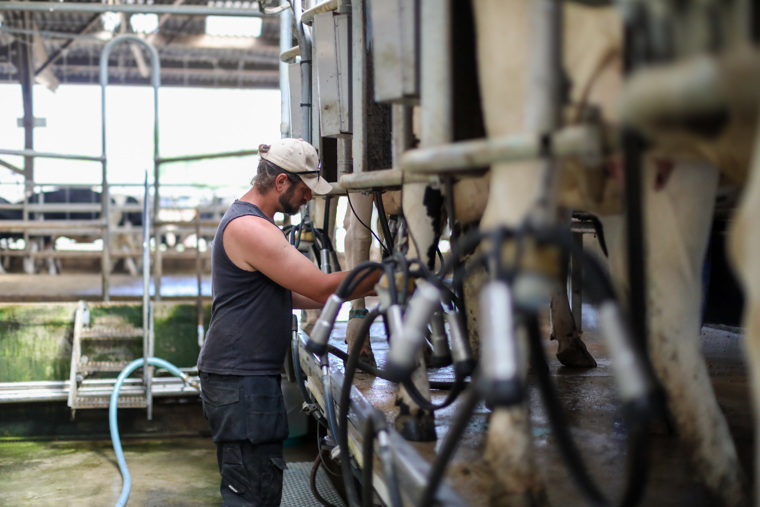 Exploitation agricole du campus