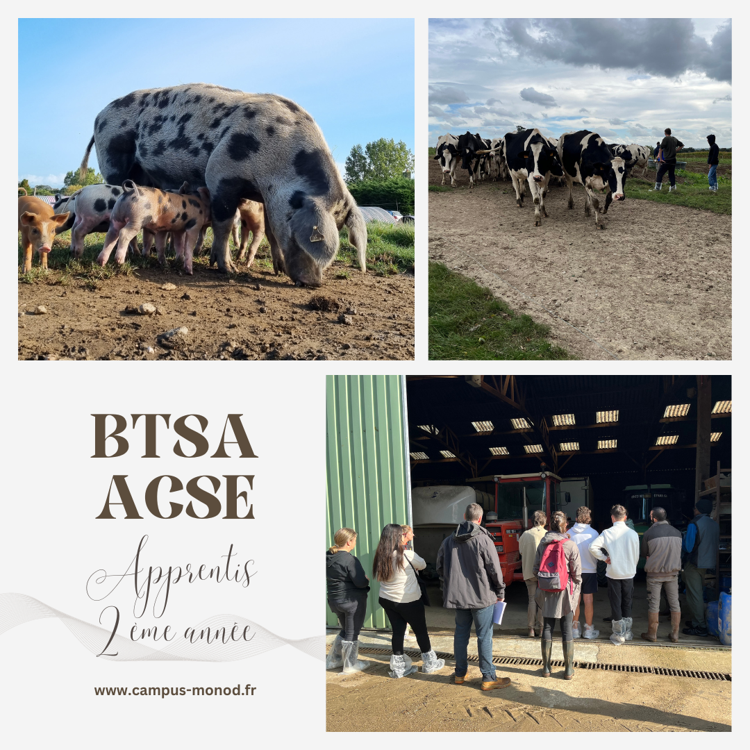 cpsa-de-combourg-BTSA_ACSE_25091