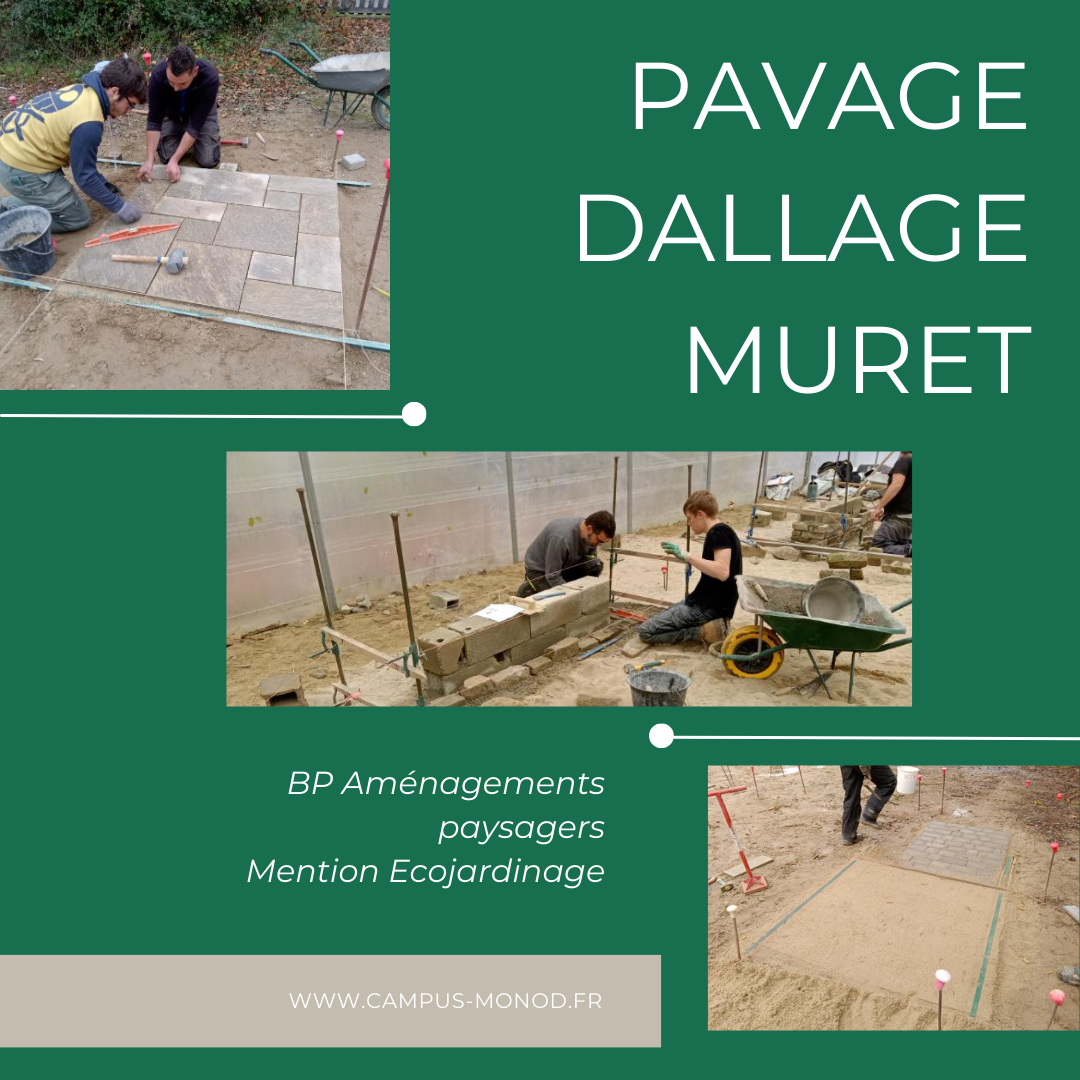 cpsa-de-combourg-Pavage_Dallage_Muret