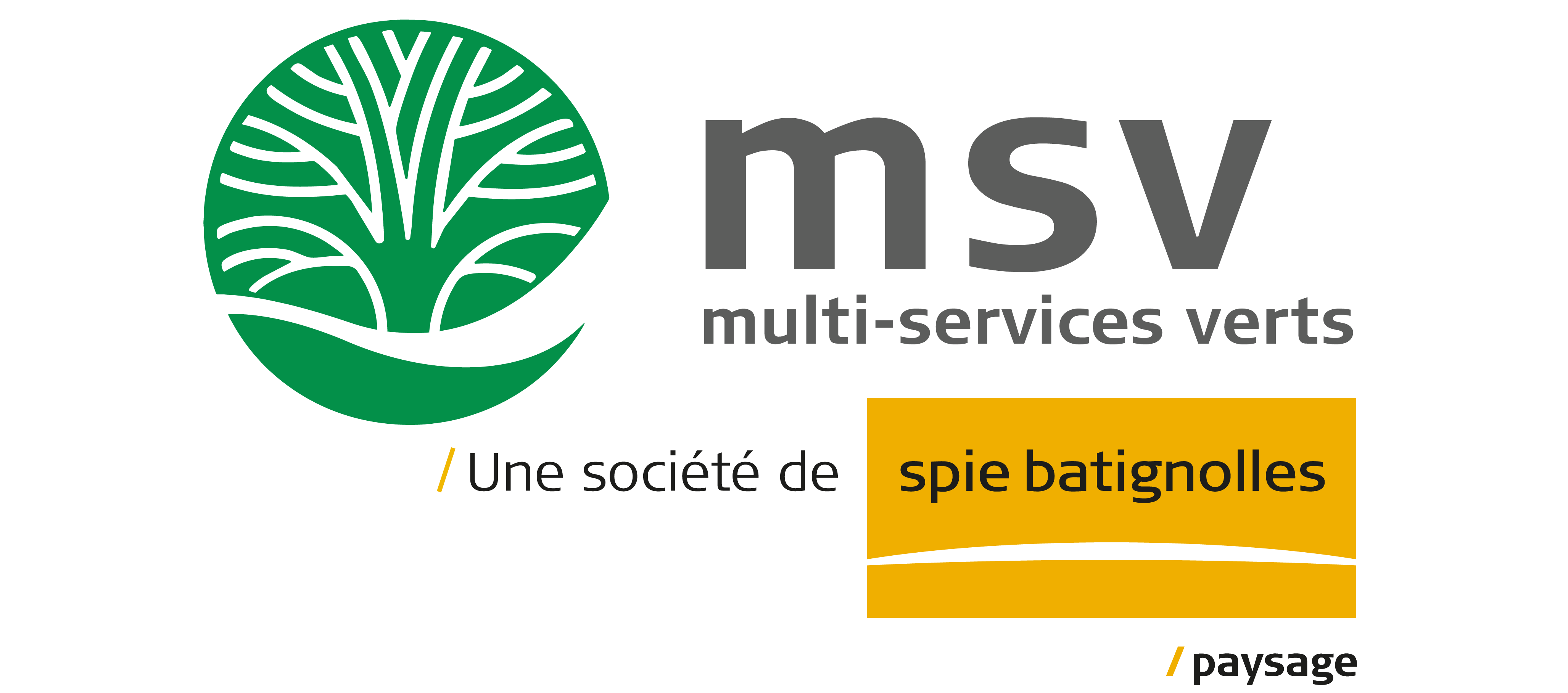 MSV-paysage