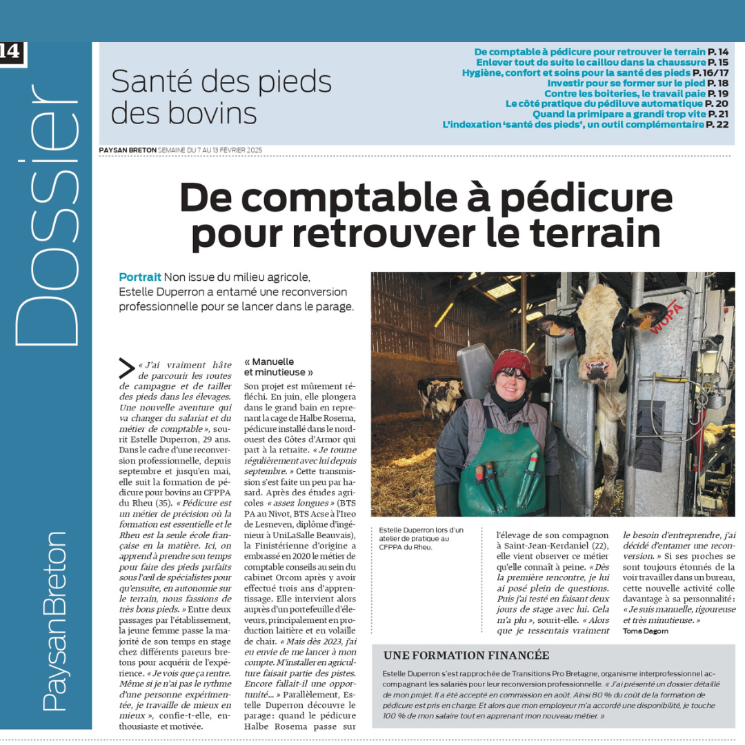 Article-Pedicure-Bovin-CFPPA-Paysan-Breton-Estelle-Duperron