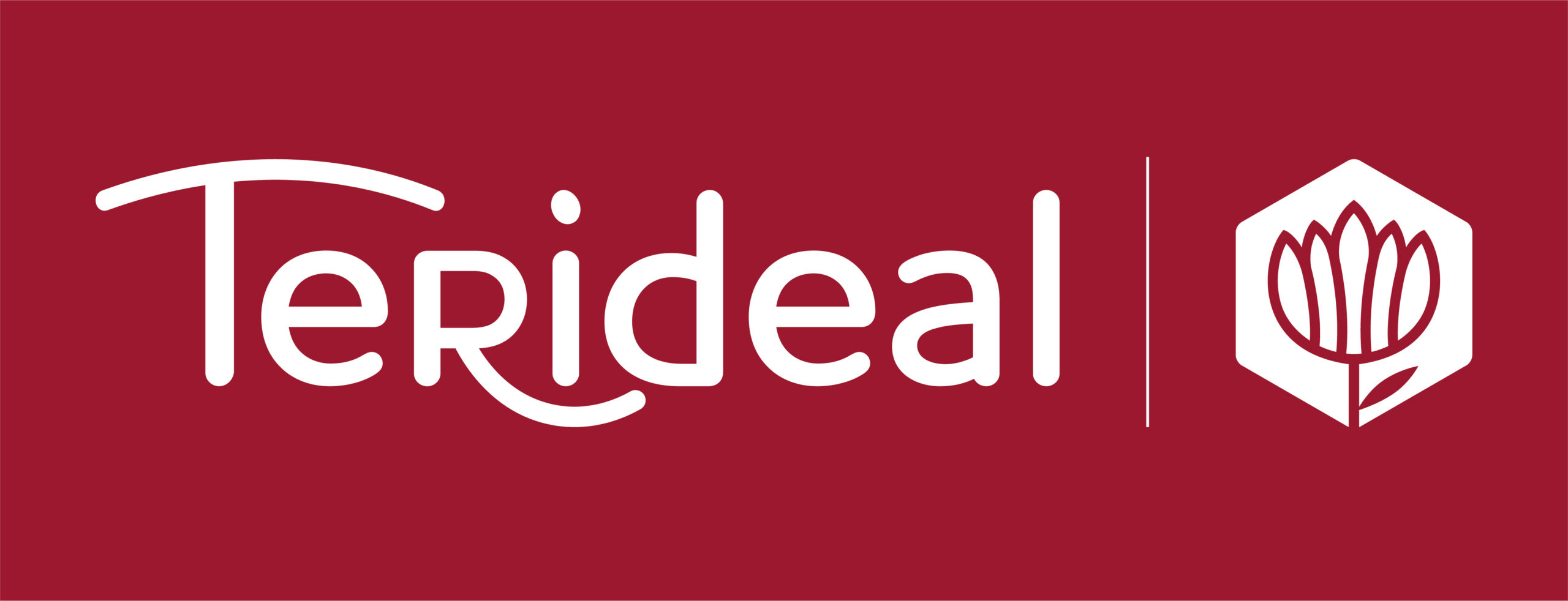 Terideal-Sparfel-