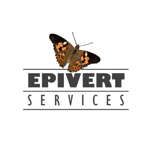 epivert-services