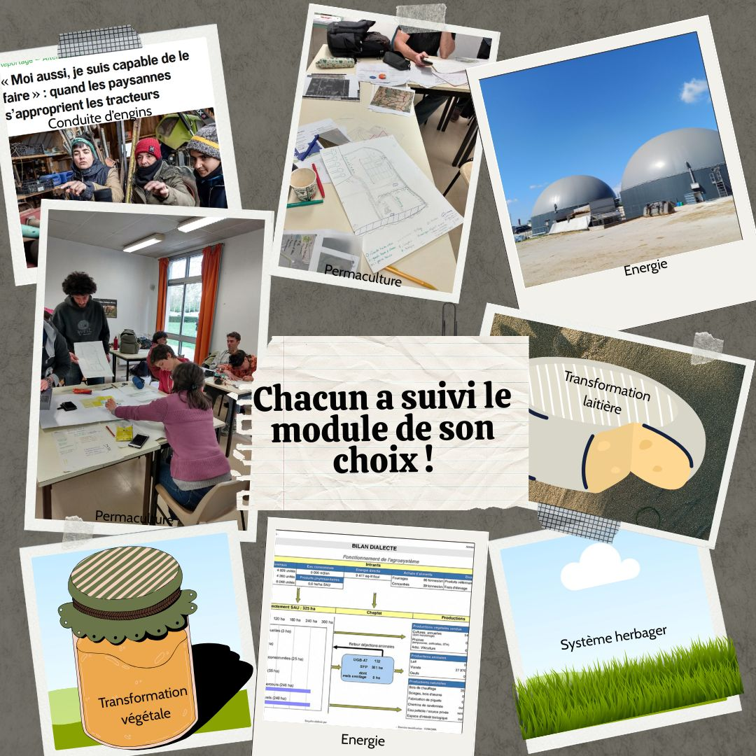 Illustrations des différents modules: transformation, énergie, permaculture, conduite d'engins...