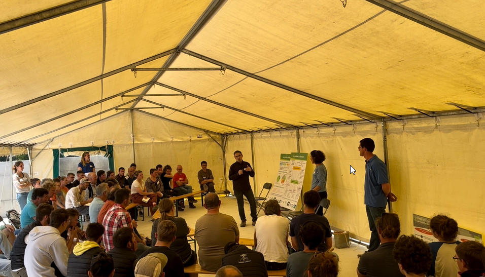 licencepro-abcd-le-rheu