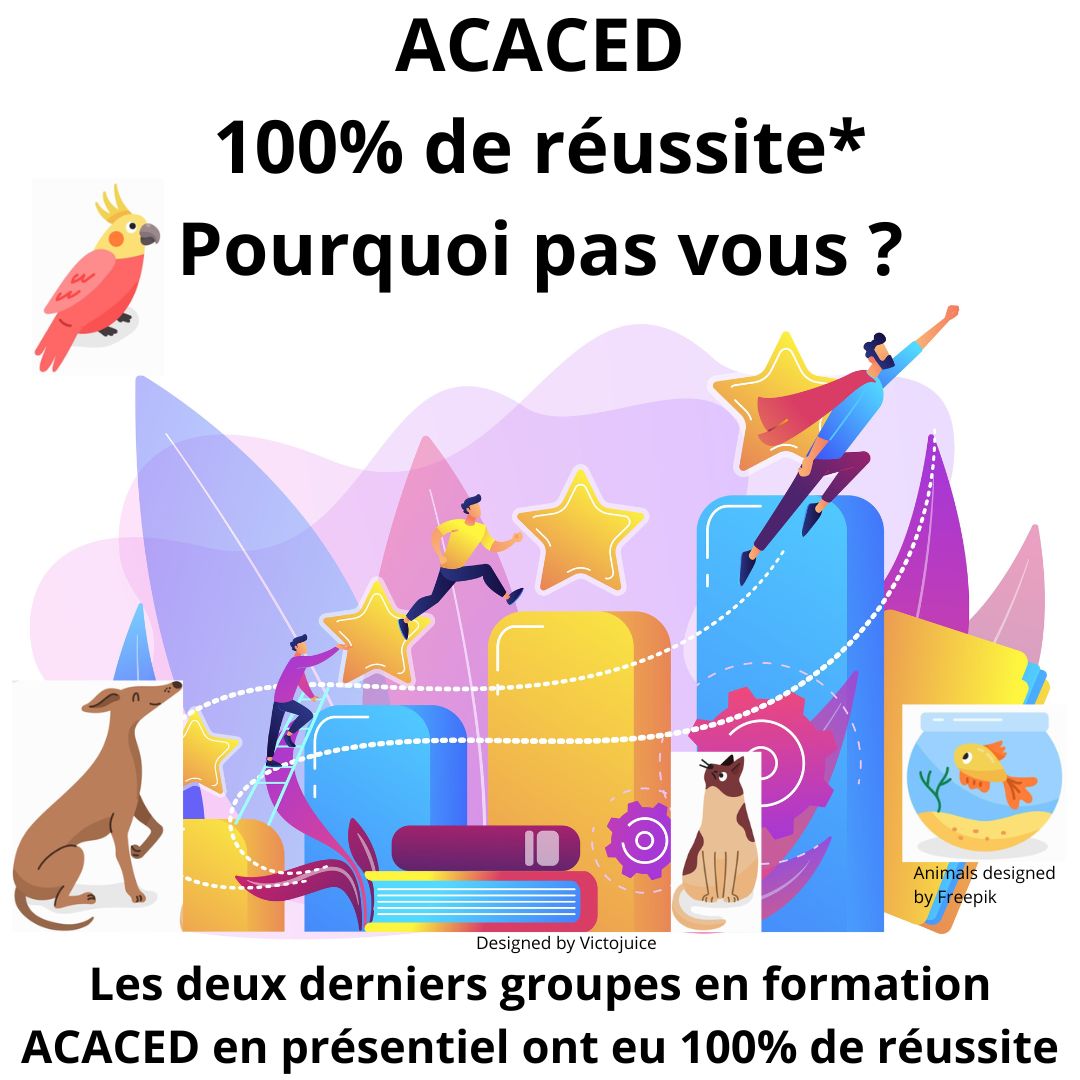 Personnes qui grimpent sur la courbe du succès, des animaux domestiques les regardent