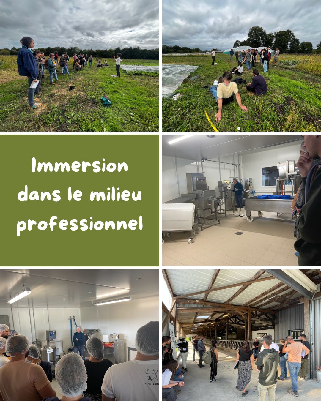 Photo de groupes visitant des fermes