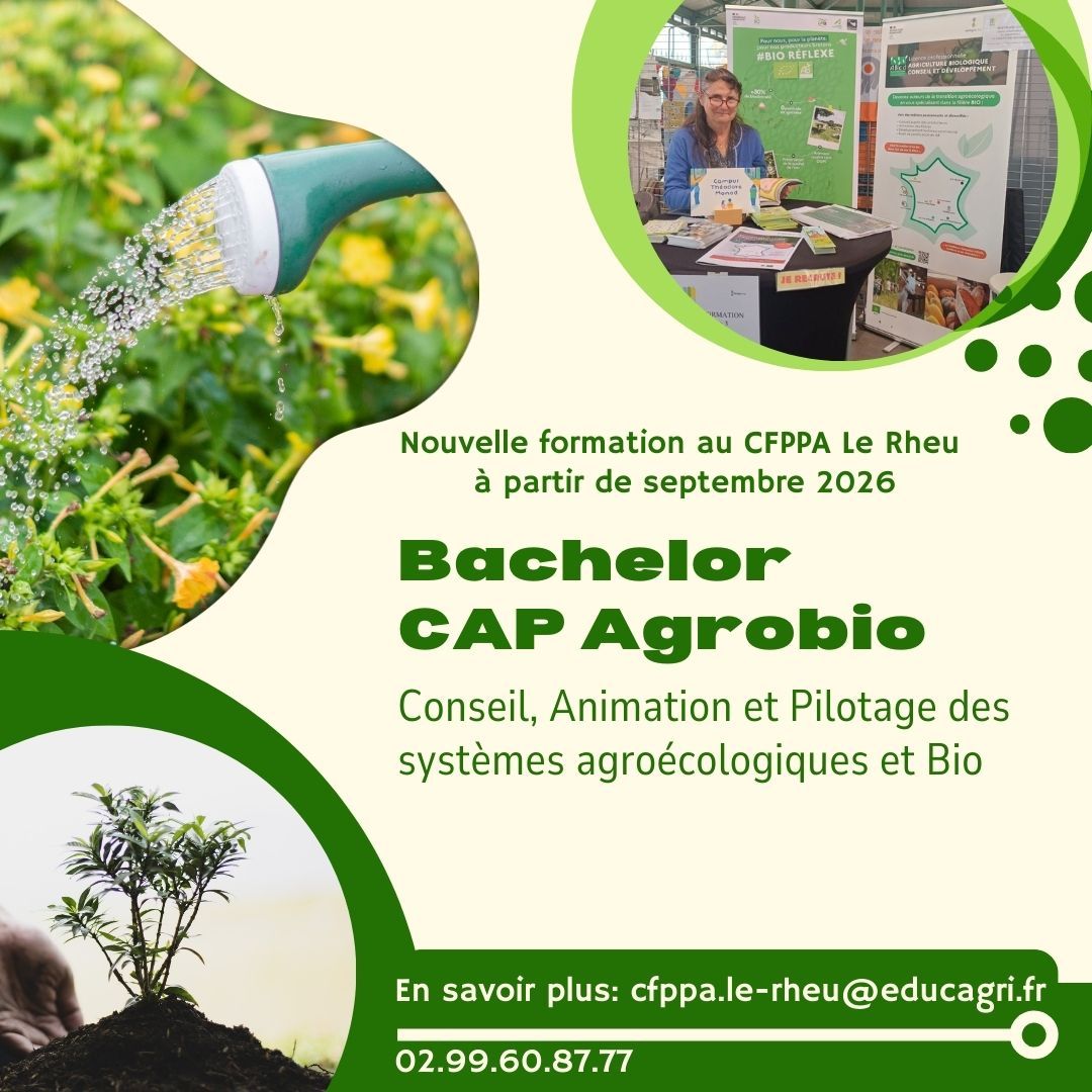 Photo d'arrosoir, plantes et arbre qui poussent